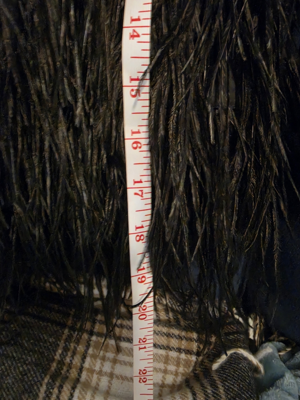 Bebe Black Feather-Trim Mini Skirt - Picture 6 of 8